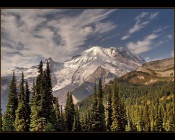 Landscape Desktop landscape